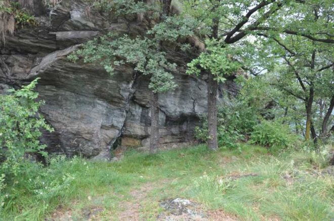 FAUNA AND FLORA OF EXPOSED AND ENGRAVED ROCKS - Capturing Nature: Photography Tips