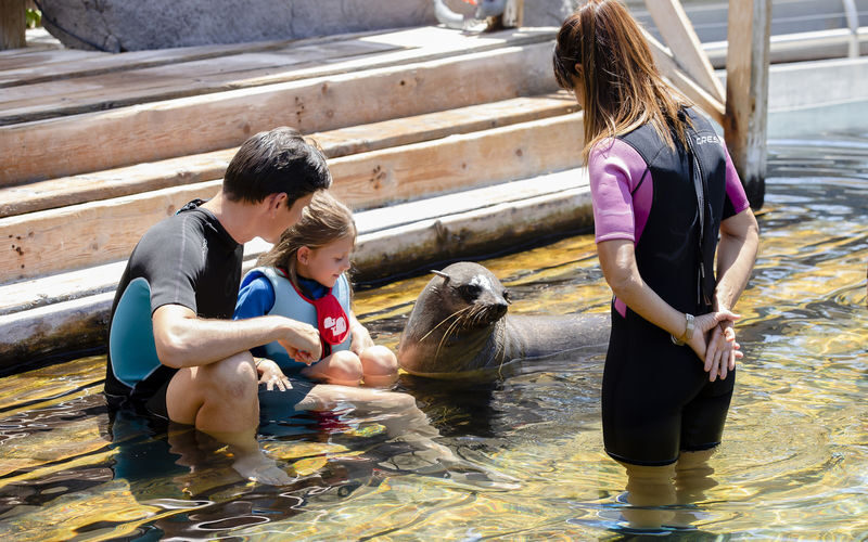 Faunia Nature Park Admission in Madrid - The Farm and the dinosaur exhibition change the pace