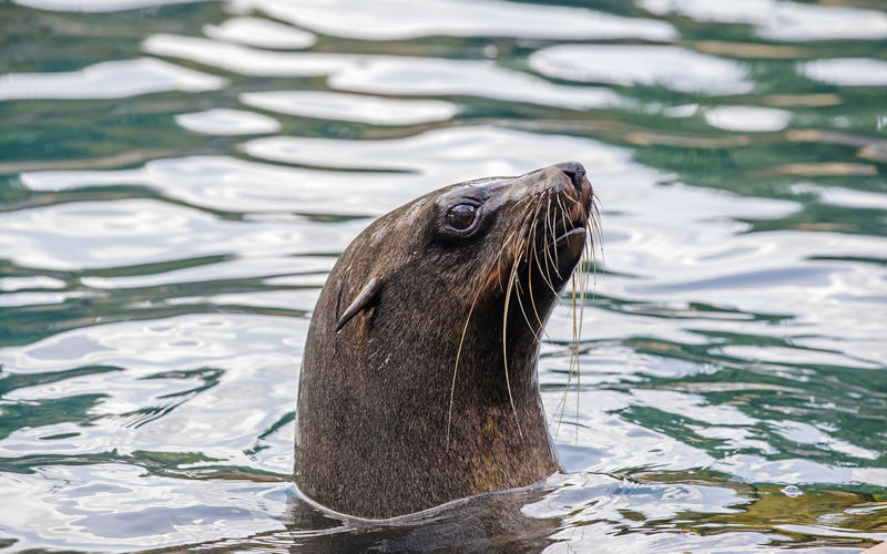 Faunia Nature Park Admission in Madrid - Practical details before you go