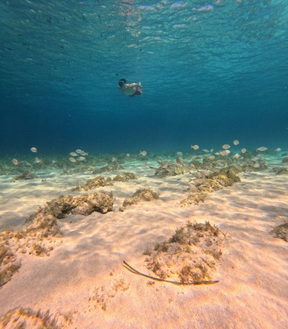 Favignana, Exclusive Trip by Dinghy - Important Information