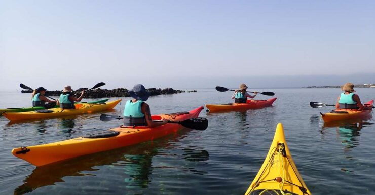 Favignana Full-Day - Good To Know