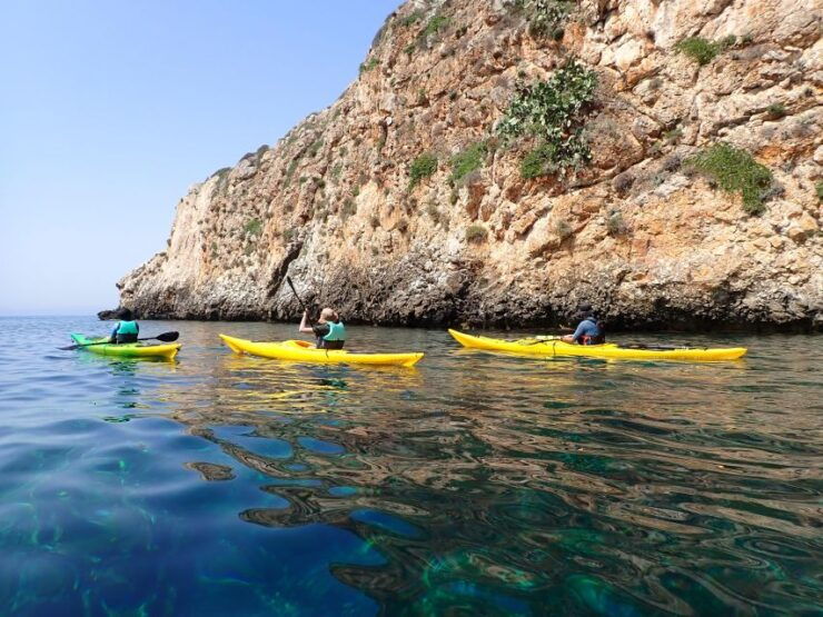 Favignana Full-Day - Highlights