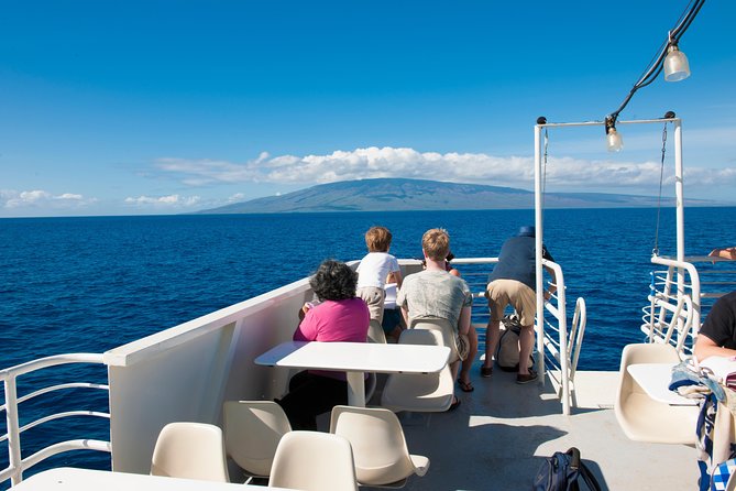 Favored Oahu Whale Watch Excursion! (2 Hour Tour! Ala Wai Harbor) - Overview and Inclusions