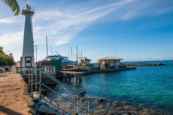 Favored Oahu Whale Watch Excursion! (2 Hour Tour! Ala Wai Harbor) - Meeting and Pickup Details