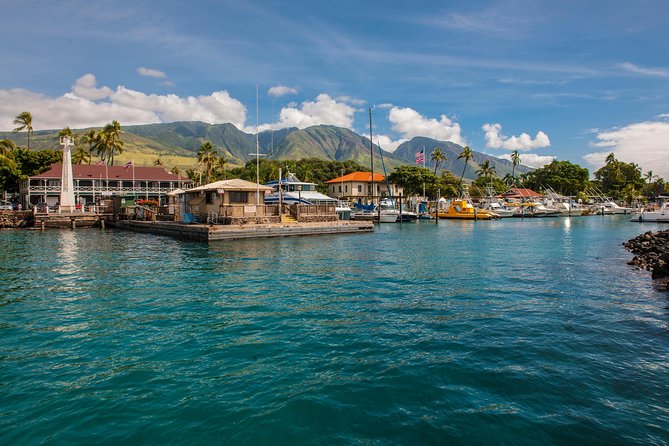 Favored Oahu Whale Watch Excursion! (2 Hour Tour! Ala Wai Harbor) - The Sum Up