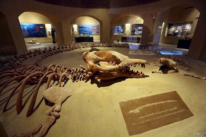 Fayoum Oasis and Waterfalls of Wadi El-Rayan Tour From Cairo - Additional Information