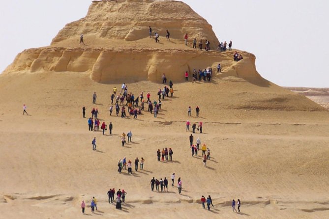 Fayoum Oasis & Wadi Al Rian Day Tour From Cairo - Meeting and Pickup Details