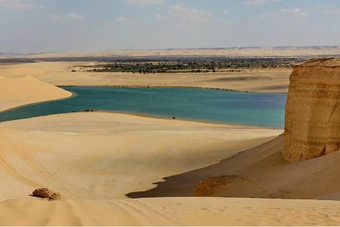 Fayoum Oasis & Wadi Al Rian Day Tour From Cairo - Important Information