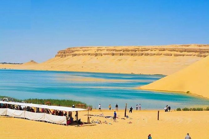 Fayoum Oasis & Wadi Al Rian Day Tour From Cairo - Customer Reviews