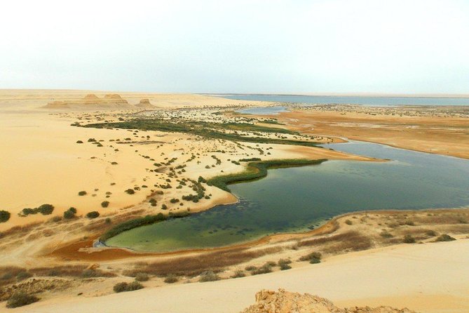 Fayoum Oasis & Wadi Al Rian & Wadi Hitan - Pick-Up Information