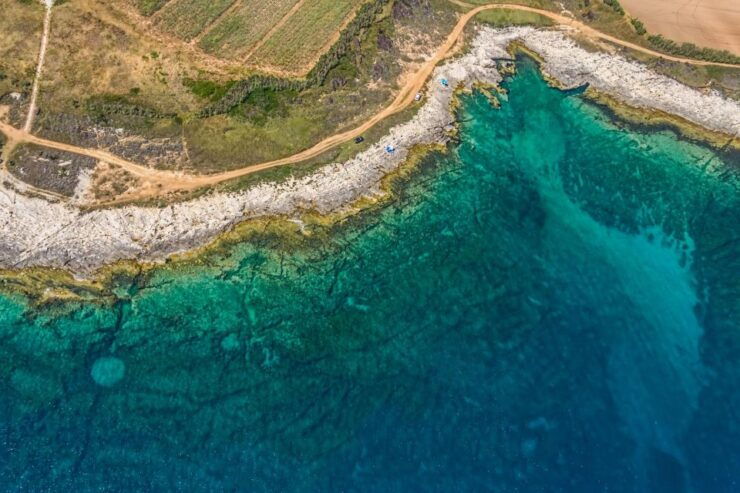 Fazana: Brijuni National Park Scenic Boat Tour - Experience Highlights