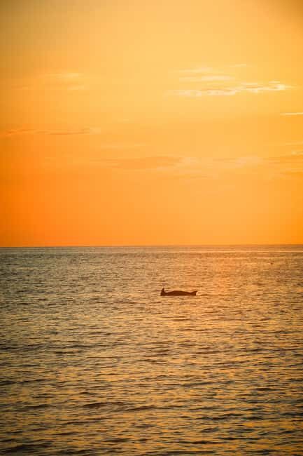 Fazana: Dolphin/Sunset Tour - Good To Know