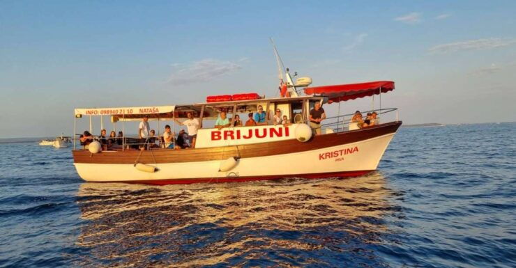Fazana: Guided Dolphin Watching Sightseeing Cruise at Sunset - Good To Know