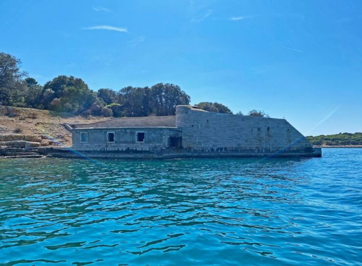 Fazana: Private Cruise Brijuni & Fossil Island Snorkeling - Highlights