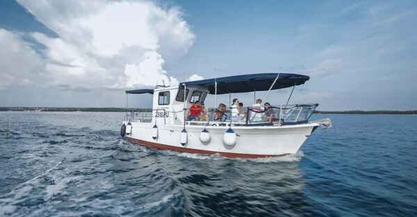 FažAna: Sail Like a President With Brijuni Panorama - Exploring the Brijuni Islands