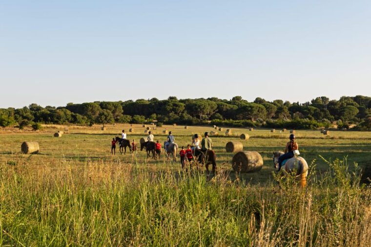Fazana: Sunset 1-hour Horse Riding in Nature with Guide - Practical Details and Considerations
