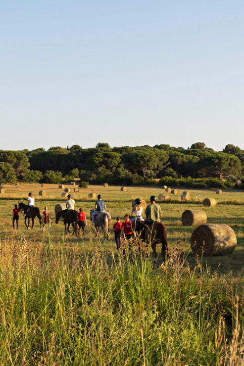 Fazana: Sunset 1-Hour Horse Riding in Nature With Guide - Highlights of the Ride