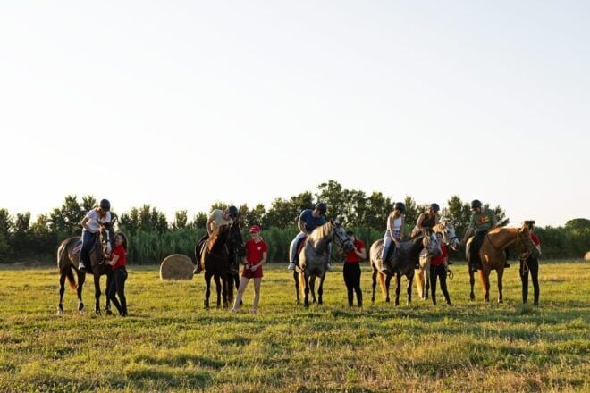 Fazana: Sunset 1-Hour Horse Riding in Nature With Guide - Safety Regulations and Guidelines