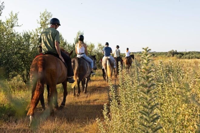 Fazana: Sunset 1-Hour Horse Riding in Nature With Guide - What to Wear and Bring