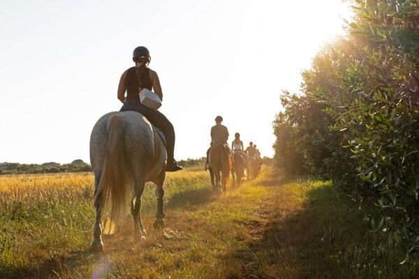 Fazana: Sunset 1-Hour Horse Riding in Nature With Guide - Additional Tips for Riders