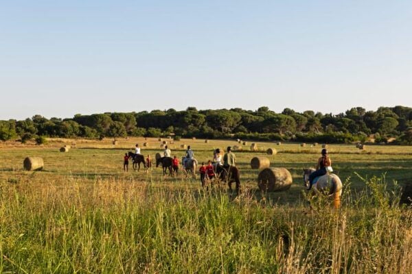 Fazana: Sunset 1-Hour Horse Riding in Nature With Guide - Frequently Asked Questions