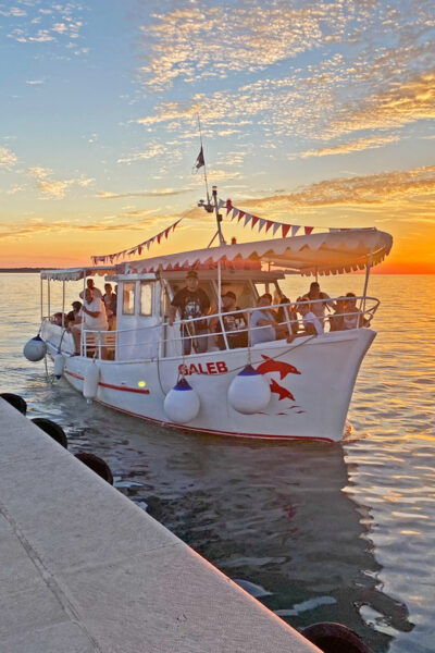 Fazana: Sunset Dolphin Cruise With Dinner in Brijuni Park - Customer Ratings