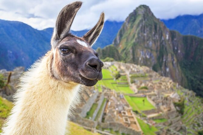 FD Machu Picchu: Tour & Machu Picchu Mountain From Cusco - Cusco Departure and Transportation