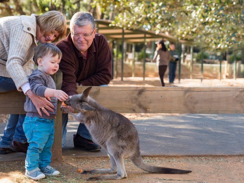 Featherdale Sydney Wildlife Park Ticket - A Close Look at Australian Wildlife