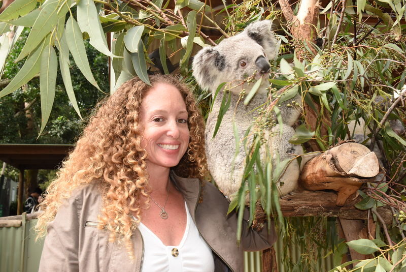 Featherdale Sydney Wildlife Park Ticket - Koalas, Quokkas and Other Close Encounters