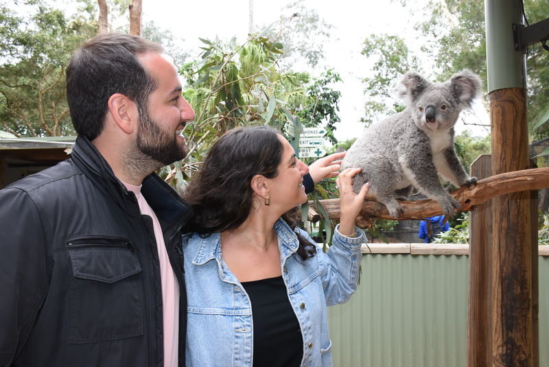 Featherdale Sydney Wildlife Park Ticket - Getting to Doonside from Sydney