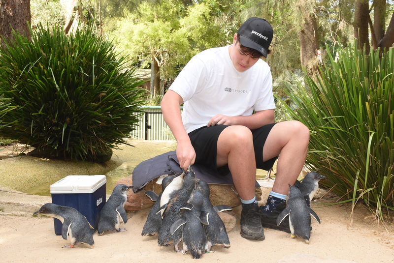 Featherdale Sydney Wildlife Park Ticket - Ticket Value and What It Covers