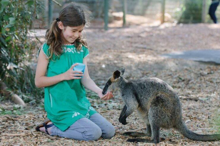 Featherdale Wildlife Park General Entry Ticket - Experience Highlights