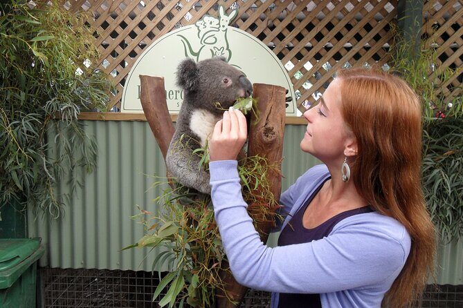 Featherdale Wildlife Park with Exclusive Private Transfers - Transportation and Timing
