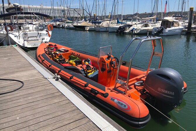 Feathers & Scales - Fees and Payment