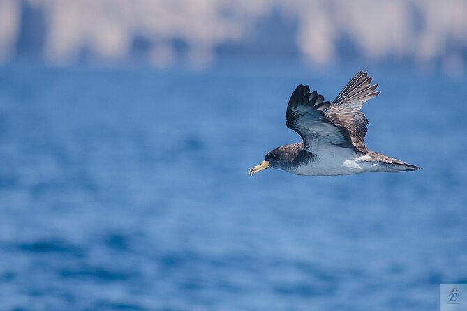 Feathers & Scales - Tour Schedule and Availability