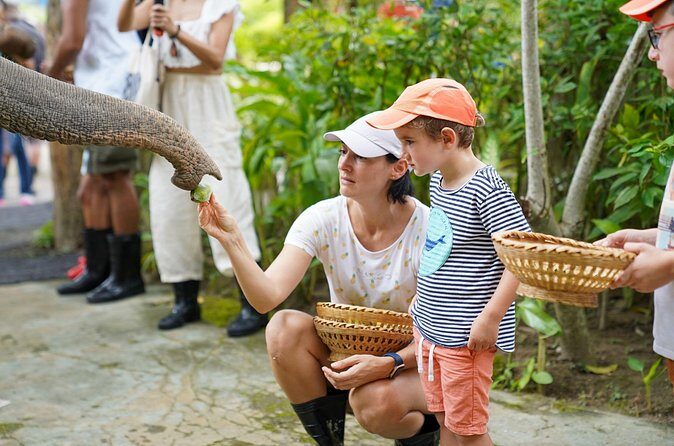 Feed Me Banana Elephant Experience Short Activity - FAQs