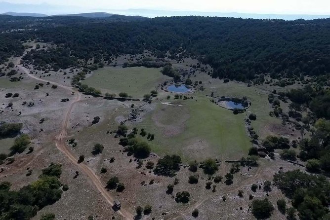 Feel and Taste Island Brac With Local Experts - Island Adventure to Remember - Booking Information