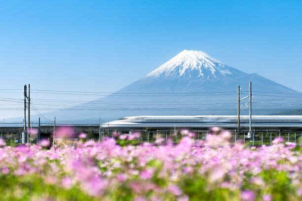 Feel Mt.Fuji and Sake tasting 1D Private Tour in Shizuoka - A day of Fuji culture, not just Fuji views