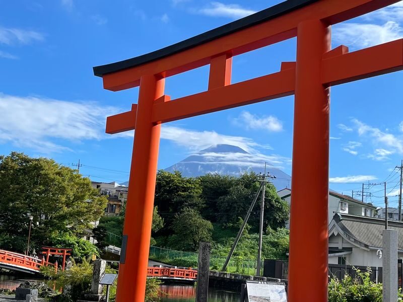 Feel Mt.Fuji and Sake tasting 1D Private Tour in Shizuoka - Reading Fuji at the World Heritage Centre