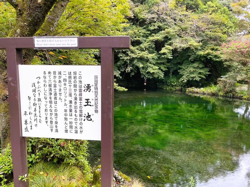 Feel Mt.Fuji and Sake tasting 1D Private Tour in Shizuoka - Sengen Shrine and Wakutama pond