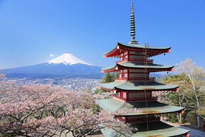 Feel Mt Fuji and Sake Tasting Private Tour From Shin Fuji Station - Inclusions and Whats Provided