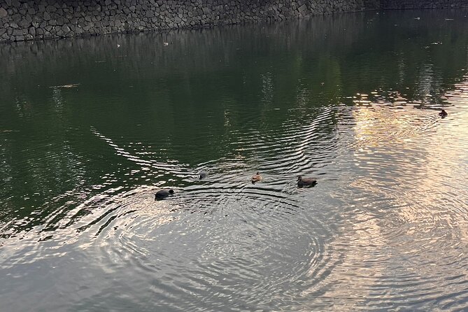 Feel the History Walking Tour Starting From Imperial Palace - Tour The Sum Up