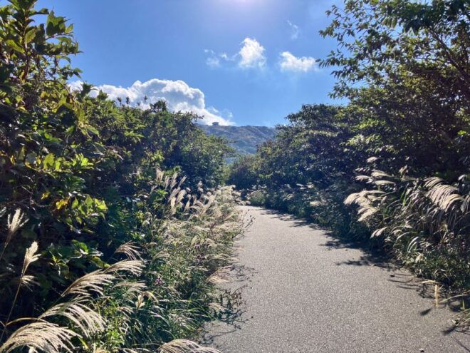 Feel the Volcano by Trekking at Mt.Mihara - Directions and Logistics