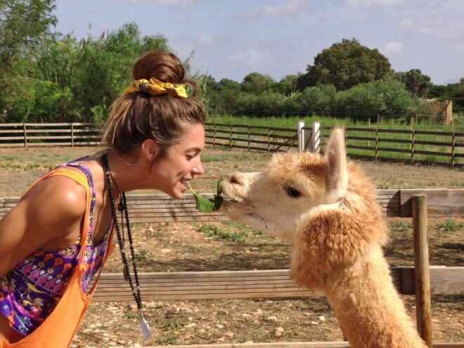 Felanitx, Mallorca: Alpacas Close-Up Experience - Alpaca Interaction Details