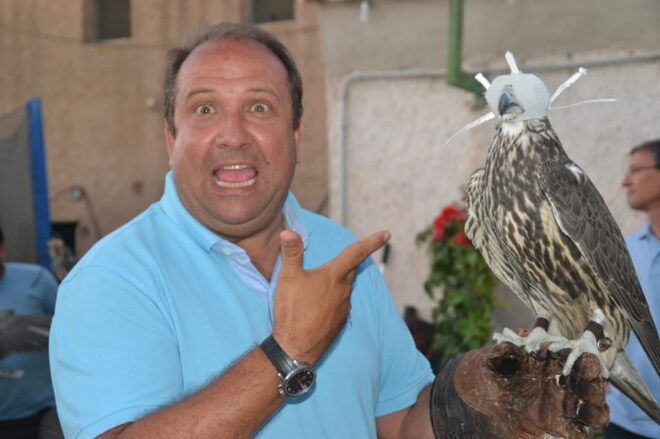Felanitx, Mallorca: Experience With Falcons With Aperitif - Handling Raptors and Free-Flight Demonstrations