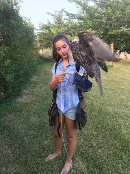 Felanitx, Mallorca: Experience With Falcons With Aperitif - Frequently Asked Questions