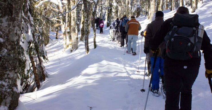 Feldberg: Guided Snowshoeing Tour in the Black Forest - Tour Duration and Cancellation Policy