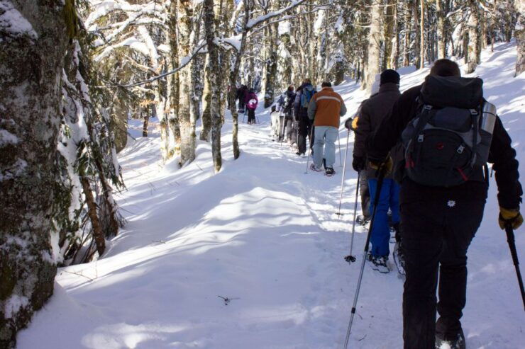 Feldberg: Guided Snowshoeing Tour in the Black Forest - Tour Inclusions and Equipment Provided