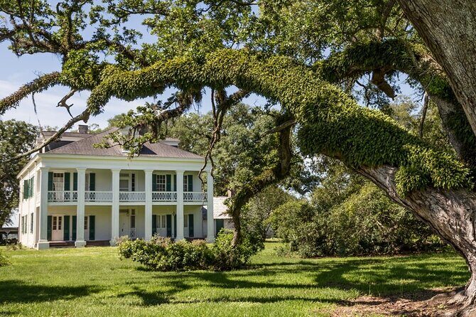 Felicity Plantation Tour - Comprehensive Review of the Felicity Plantation Tour