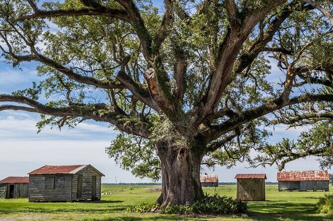 Felicity Plantation Tour - The Itinerary in Detail: What to Expect